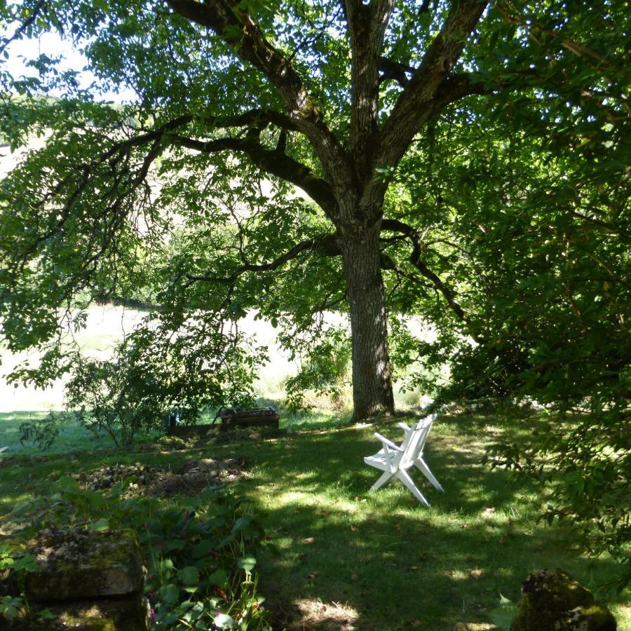 Le Bourmier Anlhiac Near Excideuil Villa Exterior foto