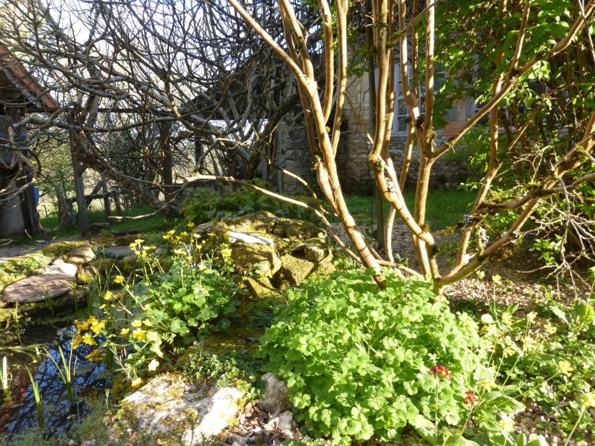 Le Bourmier Anlhiac Near Excideuil Villa Exterior foto